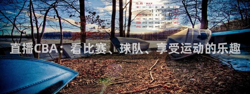 飞速体育无插件直播nba高清：直播CBA：看比赛、球队、享受运动的乐趣