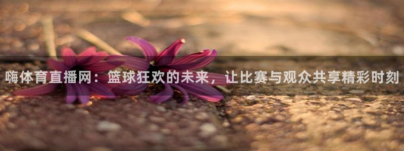 飞速体育高清直播：嗨体育直播网：篮球狂欢的未来，让比赛与观众共享精彩时刻