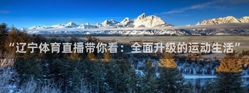 高速飞速体育直播：“辽宁体育直播带你看：全面升级的运动生活”