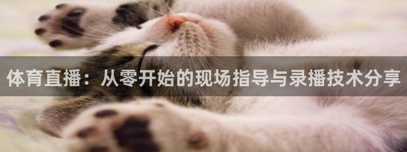 高速直播飞速体育：体育直播：从零开始的现场指导与录播技术分享