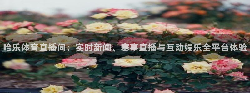 飞速直播体育nba无插件：哈乐体育直播间：实时新闻、赛事直播与互动娱乐全平台体验