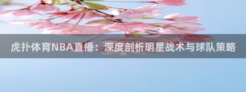 飞速体育在线直播nba：虎扑体育NBA直播：深度剖析明星战术与球队策略