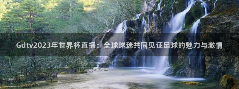 飞速体育直播nba免费观看：Gdtv2023年世界杯直播：全球球迷共同见证足球的魅力与激情