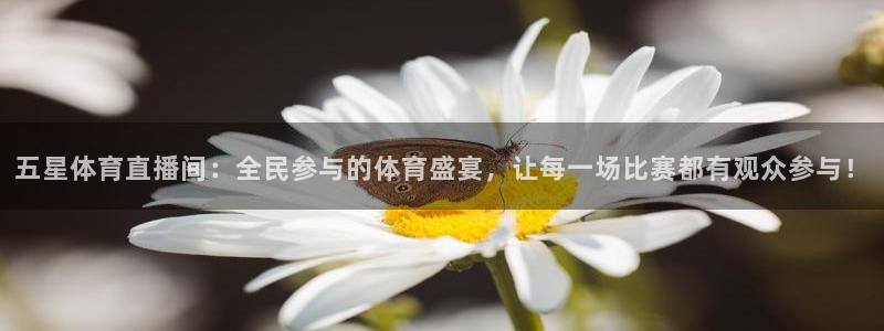 飞速nba在线直播：五星体育直播间：全民参与的体育盛宴，让每一场比赛都有观众参与！