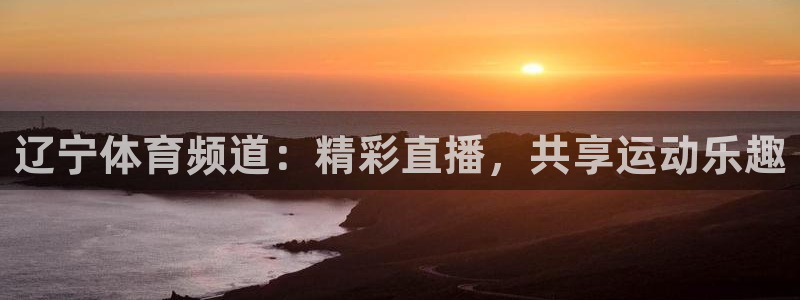 nba飞速在线直播：辽宁体育频道：精彩直播，共享运动乐趣