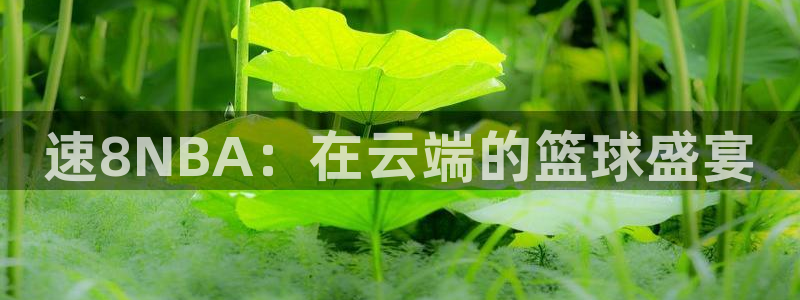 nba 飞速直播：速8NBA：在云端的篮球盛宴