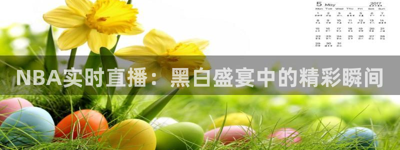 飞速nba免费直播：NBA实时直播：黑白盛宴中的精彩瞬间