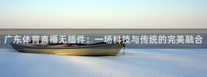 飞速体育直播\'：广东体育直播无插件：一场科技与传统的完美融合