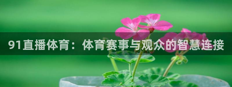 飞速免费直播nba：91直播体育：体育赛事与观众的智慧连接