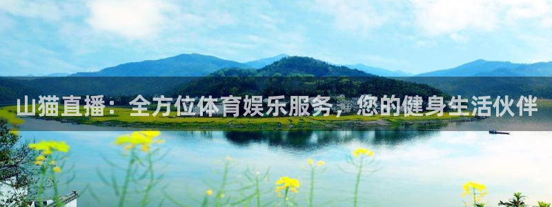 飞速体育直播\'：山猫直播：全方位体育娱乐服务，您的健身生活伙伴